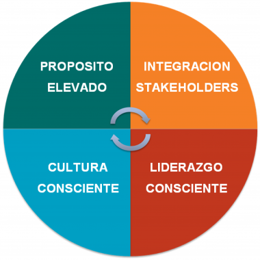 Contenido
