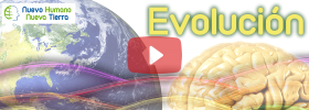 Evolución